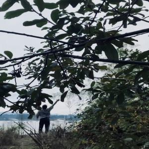 收聽N2U的hi my dear (Explicit)歌詞歌曲