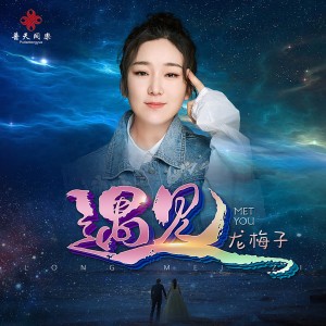 Album 遇见 from 龙梅子