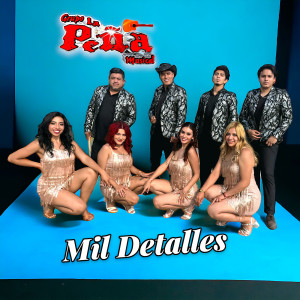 收听Grupo La Peña Musical的Mil Detalles歌词歌曲