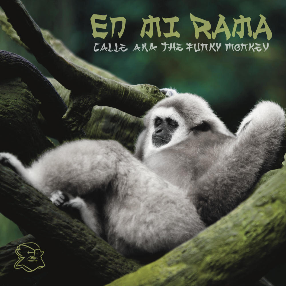 Alejado del bullicio (feat. Vido Productions) (Explicit)