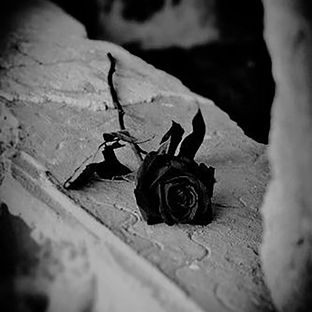La Muerte No Justifica El Olvido