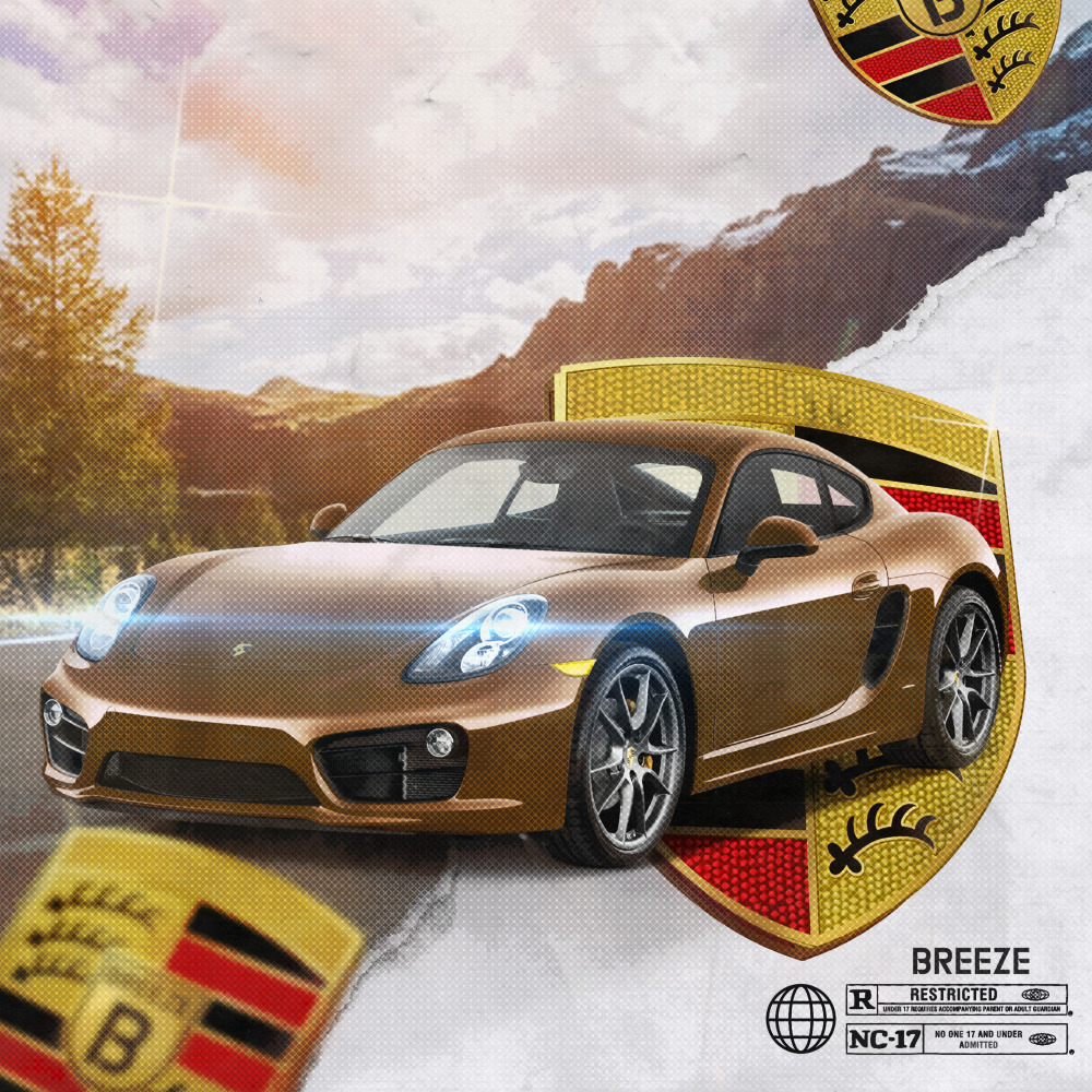 Porsche Marrom