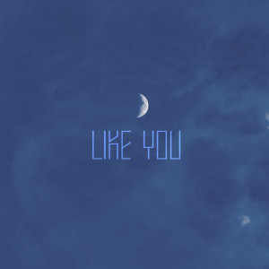 Listen to Like You song with lyrics from GonnaB