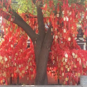 Listen to 让快乐伴随  伴奏wav (伴奏) song with lyrics from 李且行