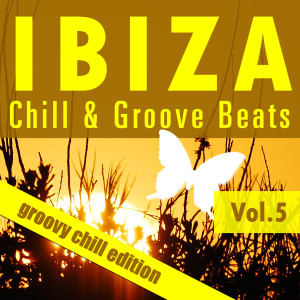 Various Artists的專輯Ibiza Chill & Groove Beats, Vol.5