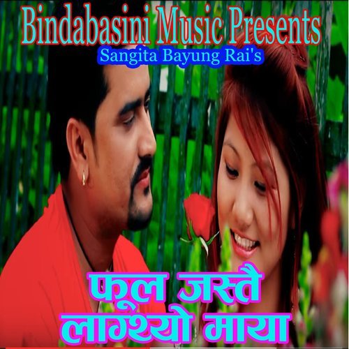 Phool Jastai Lagthyo Maya (其他)