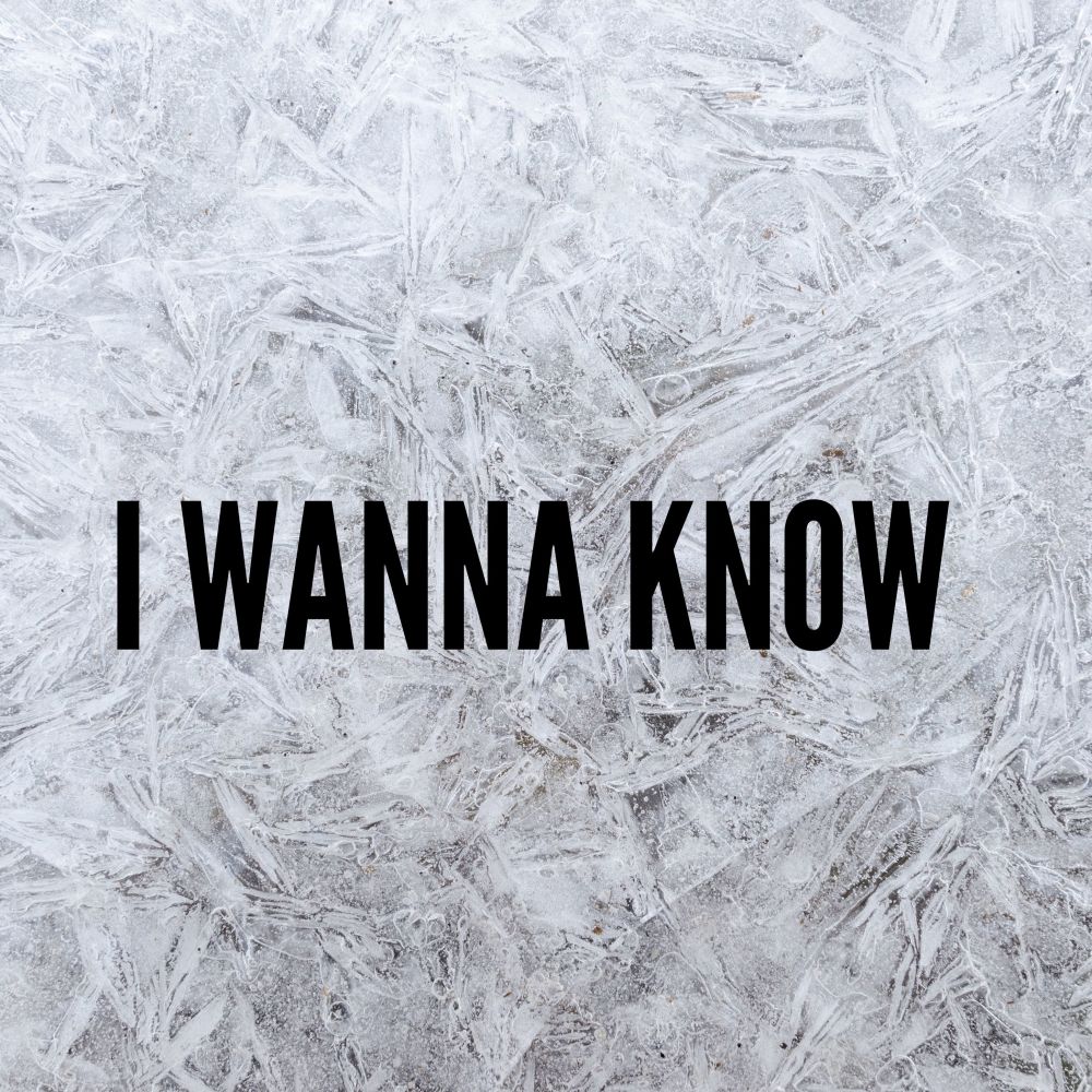 I Wanna Know