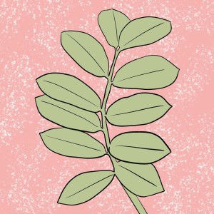 收听Lawrence Walther的Sweetie歌词歌曲
