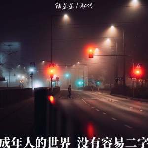 Listen to 成年人的世界没有容易二字 song with lyrics from 陆星星