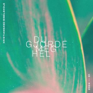 Kristiansand Bibelskole的專輯Du gjorde meg hel