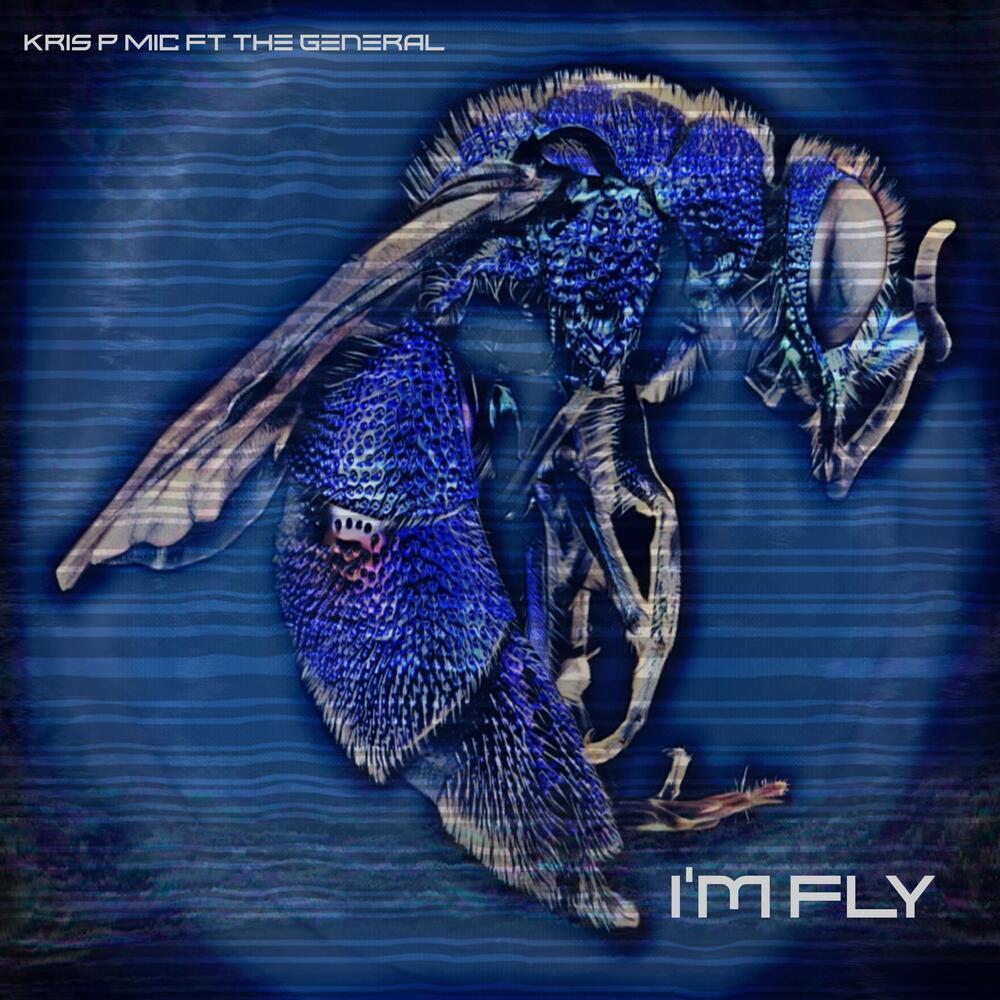 I'm Fly (Explicit)