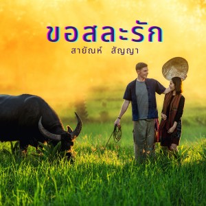 收聽สายัณห์ สัญญา的ขอสละรัก歌詞歌曲