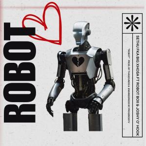 SETHUU的專輯Robot (feat. Robot Boii & Joshy O'Hook)