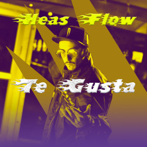Listen to Te Gusta song with lyrics from Heas Flow