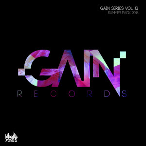 VV.AA.的專輯Gain Series Vol.13