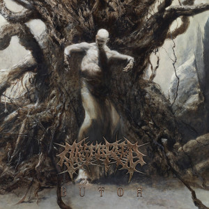 ดาวน์โหลดและฟังเพลง Insanity พร้อมเนื้อเพลงจาก Arsebreed