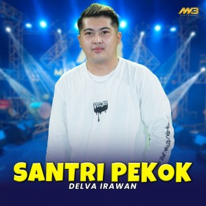Dengarkan Santri Pekok lagu dari Delva Irawan dengan lirik