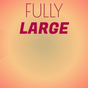 Various Artists的專輯Fully Large