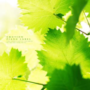Album A Healing Piano Filled With A Refreshing Natural Scent (Nature Ver.) from Various Artists