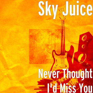 Album Never Thought I'd Miss You from Sky Patrol