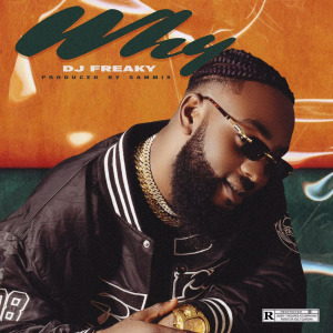 Listen to Why (Explicit) song with lyrics from DJ Freaky