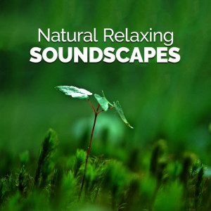 ดาวน์โหลดและฟังเพลง Natural Life พร้อมเนื้อเพลงจาก Sound Library XL