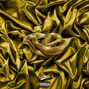 Listen to STYLENGRACE (Explicit) song with lyrics from Blxck-Mosxs