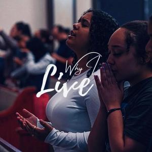 收聽Abby Francisco的Why I Live歌詞歌曲