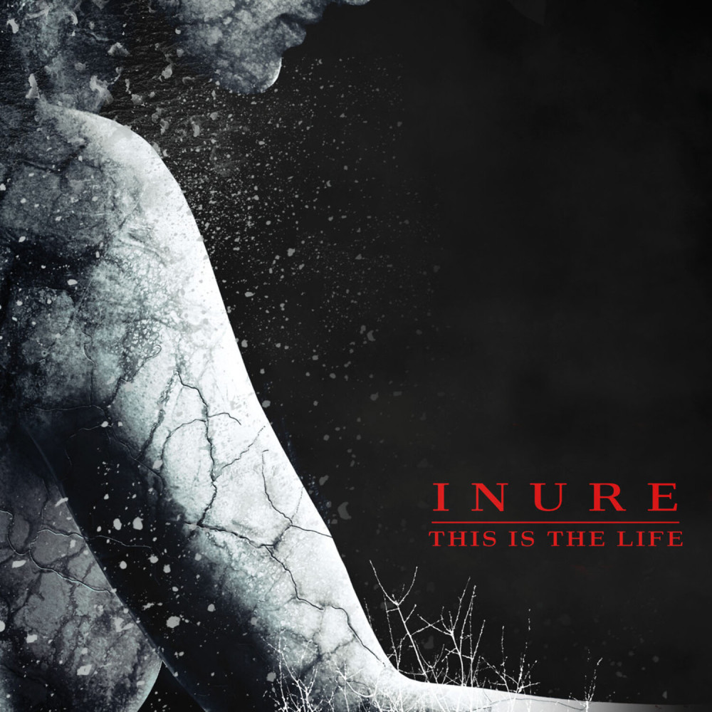 This is The Life (Imperative Reaction Remix)