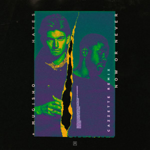 ดาวน์โหลดและฟังเพลง Now Or Never (Cazzette Remix) พร้อมเนื้อเพลงจาก Hayes