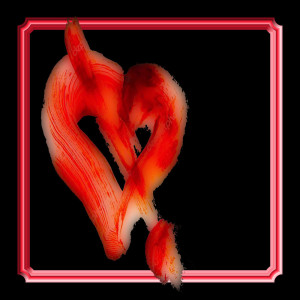 Album Heart Maneuvers from Kai Mckai