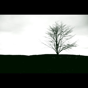Listen to Worry song with lyrics from Tim Walker