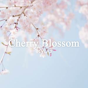 Album Cherry Blossom from Ryuu