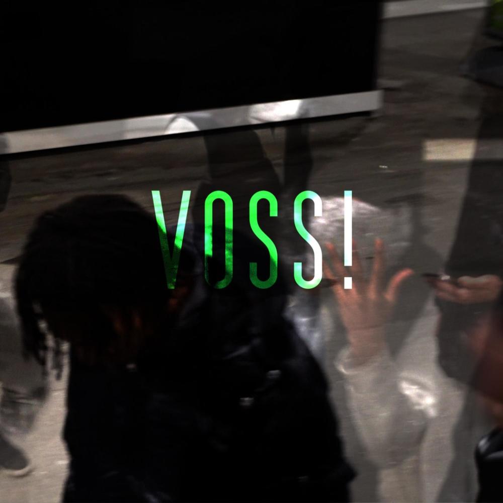 voss! (Explicit)
