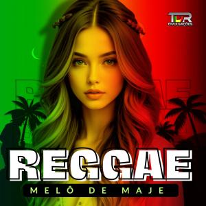 收聽TDR DIVULGAÇÕES的MELÔ DE MAJE (REGGAE VERSION)歌詞歌曲