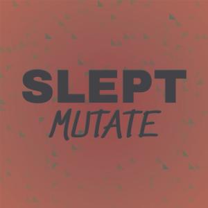 Listen to Silly Mate song with lyrics from Chado Ario