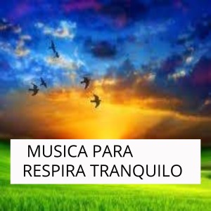 ดาวน์โหลดและฟังเพลง Respirando Sin Tensura พร้อมเนื้อเพลงจาก Musica Para Respirar Tranquilo