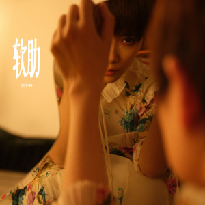 Album 软肋 from 李宇春