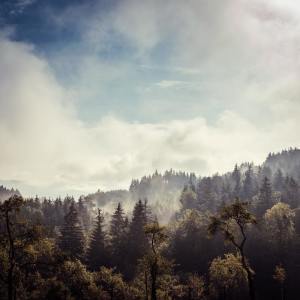 Listen to Lazy Days song with lyrics from Zen Music Garden