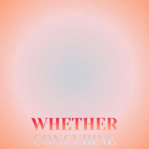 收听Miina Heiber的Cares Condition歌词歌曲