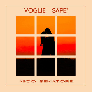 Album Voglie Sape' from Nico Senatore