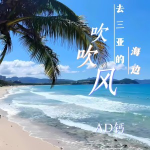Listen to 去三亚的海边吹吹风 (伴奏) song with lyrics from AD钙
