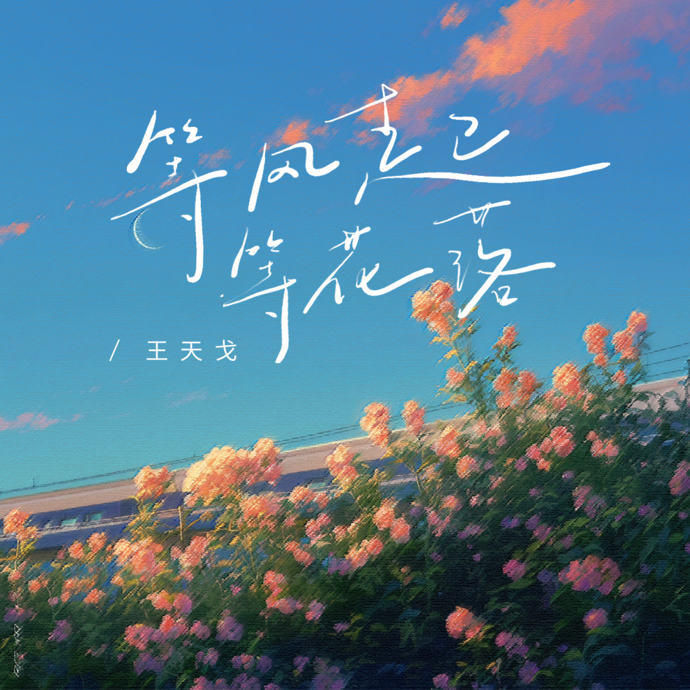 等风起等花落 (伴奏)