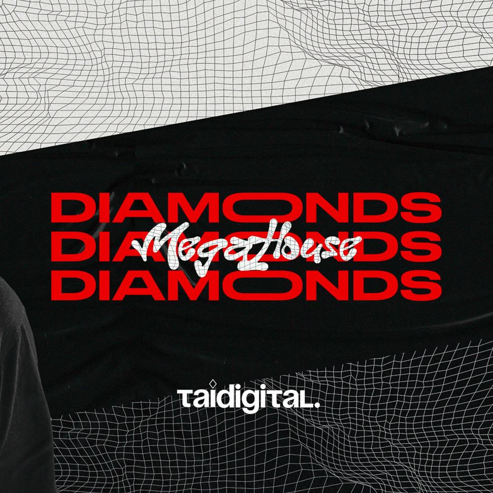 MEGA HOUSE DIAMONDS (Explicit)