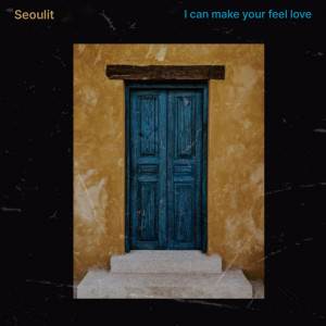 อัลบัม I Can Make Your Feel Love ศิลปิน 서울릿 (Seoulit)