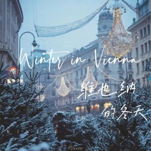 Album 维也纳的冬天 from WinSir