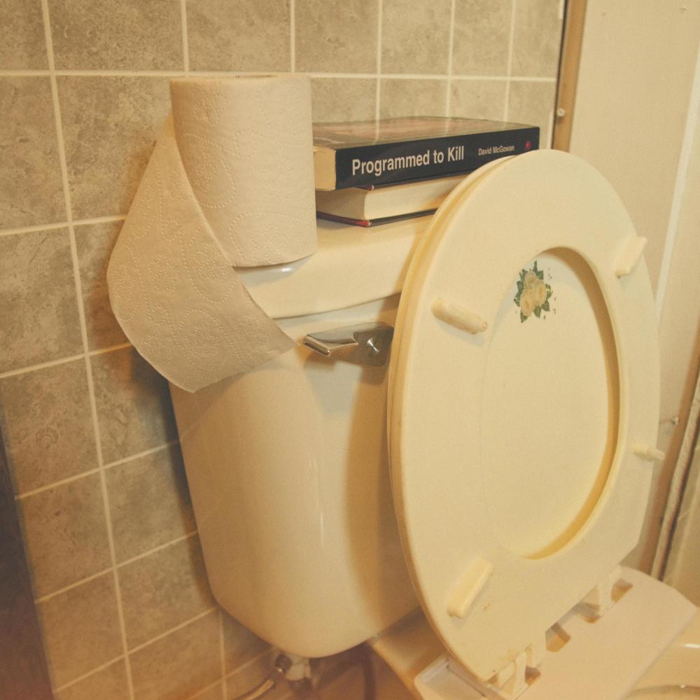 The Flush (Instrumental)