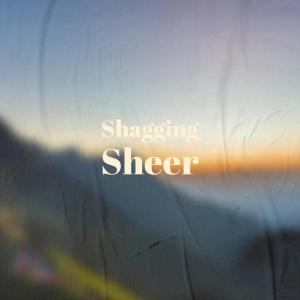 ดาวน์โหลดและฟังเพลง Whereof Bundle พร้อมเนื้อเพลงจาก Salla Hasu