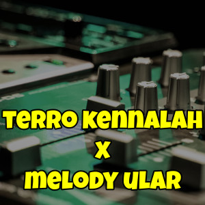 Listen to Terro Kennalah / Melody Ular (Remix) song with lyrics from JE PRODUCTION