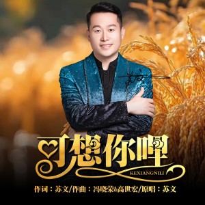 收聽蘇文的可想你哩 （陝北版） (完整版)歌詞歌曲
